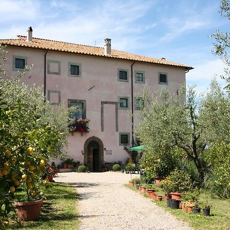 מלון ויטרבו Agriturismo Le Caselle מראה חיצוני תמונה